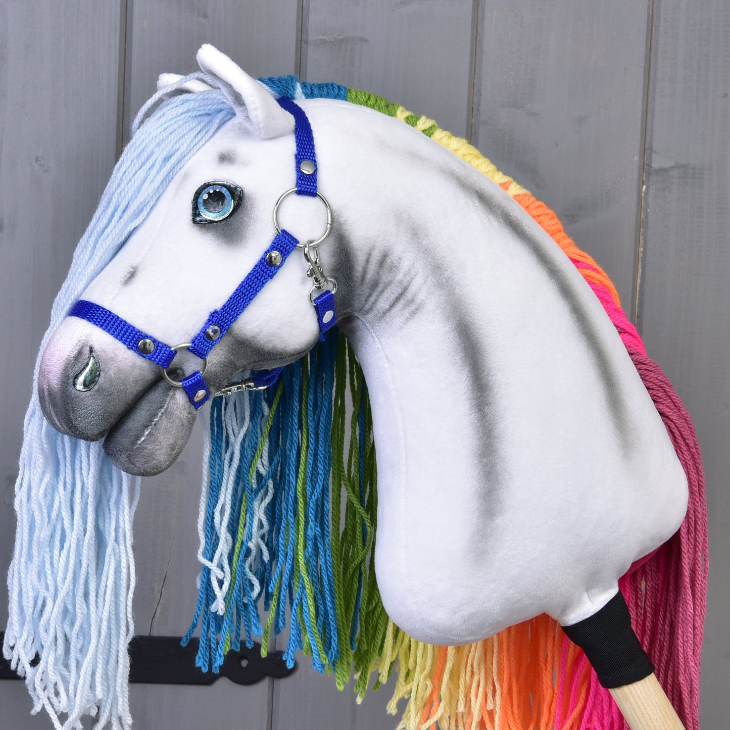 Hobby Horse Regenboog met Turquoise Halster