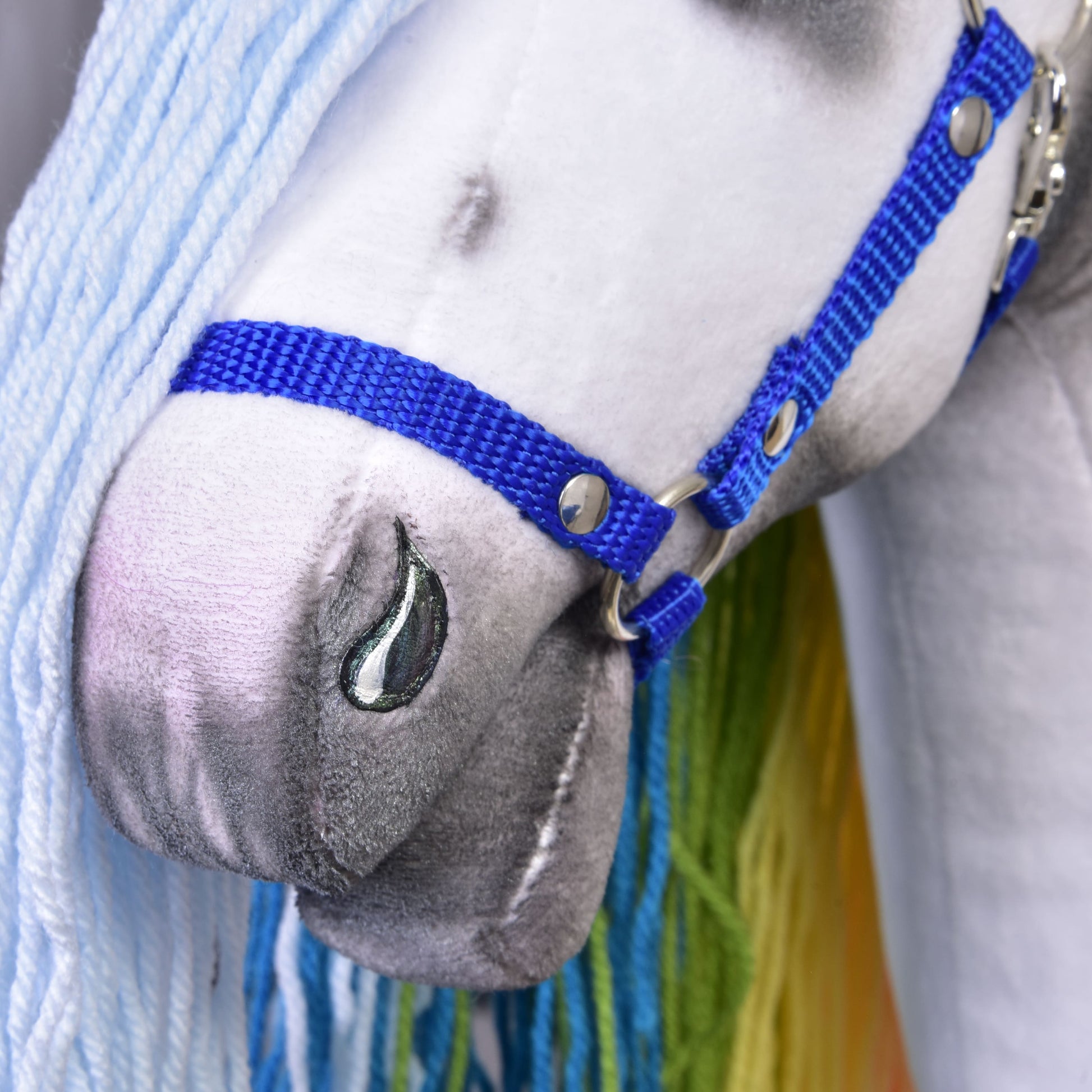 Hobby Horse Regenboog met Turquoise Halster