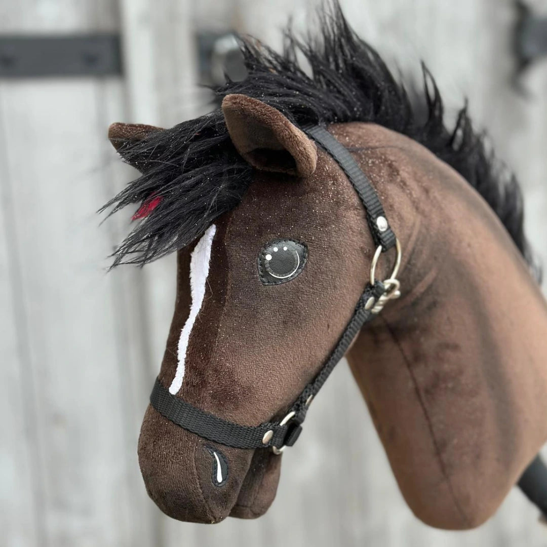 Close-up van Hobby Horse Lucas met zwart halster van Hobby Horse LarDen, een bruine Hannoveraanse hengst met zwarte manen, witte bles en zwart halster, tegen een onscherpe houten achtergrond.