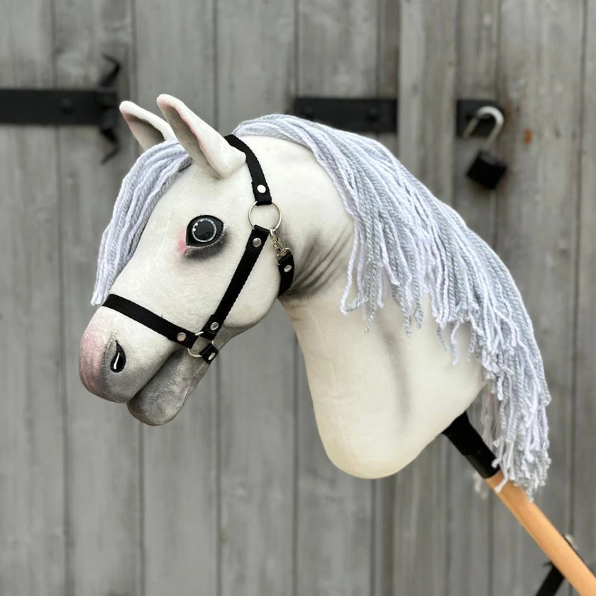 Hobby Horse Atlas with Black Halter