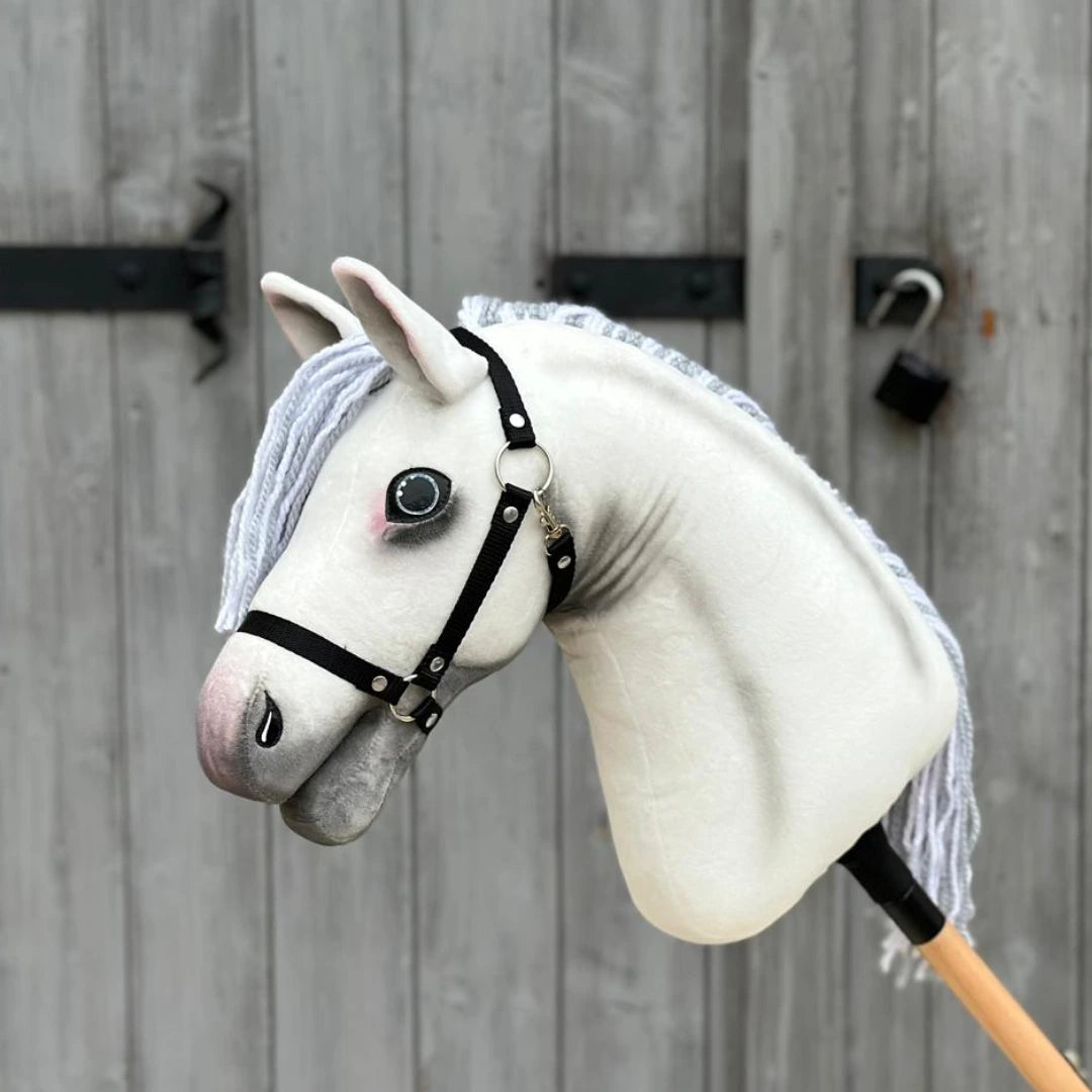 Hobby Horse Atlas with Black Halter