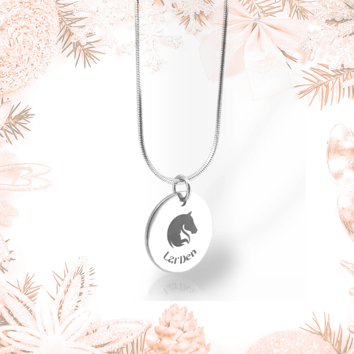 Ketting met LarDen hanger gemaakt van chirurgisch roestvrij staal: ronde schijf met paardenhoofdlogo aan een slangenketting
