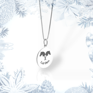 Zilveren ketting met Hobby Horse hanger