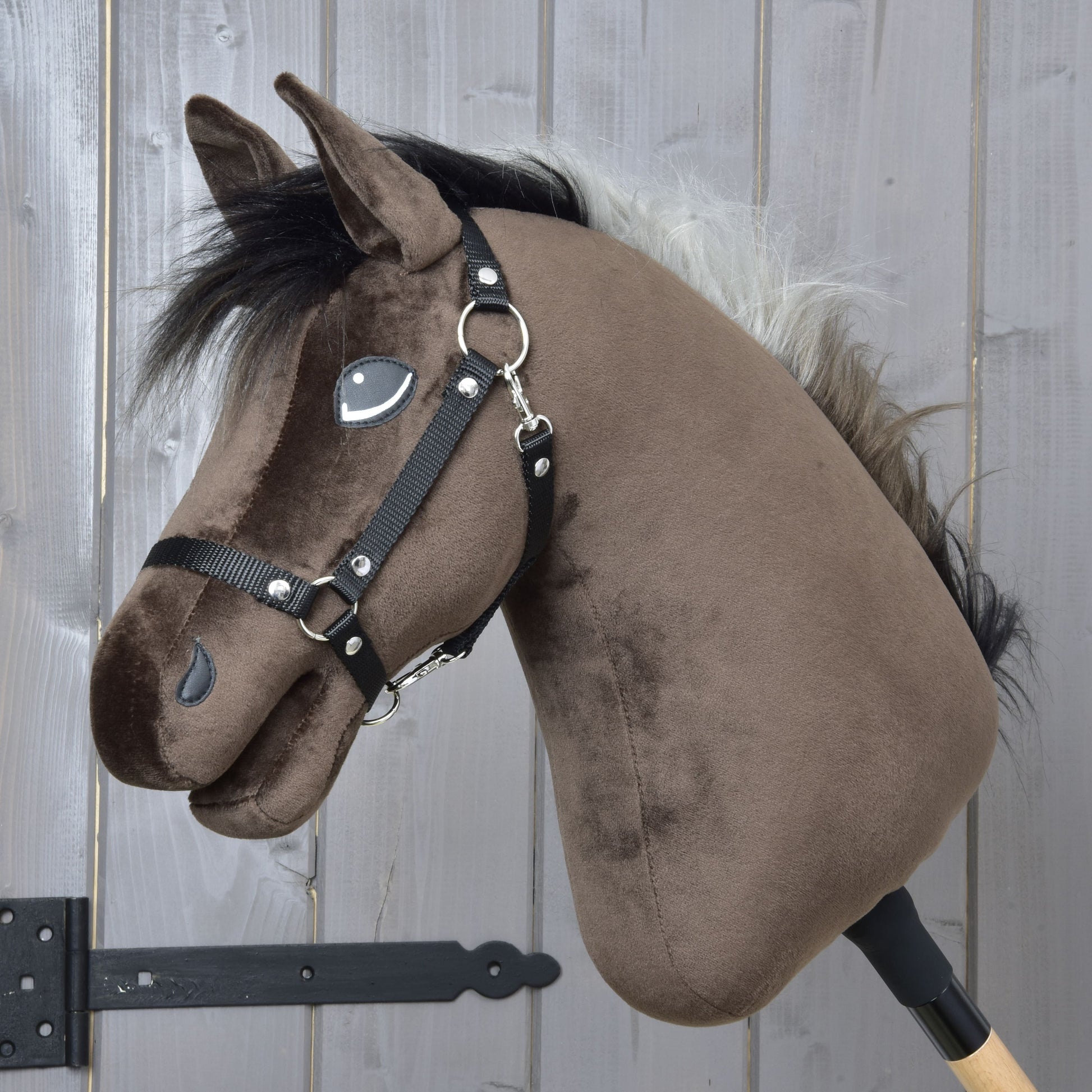 Hobby Horse Alfredo met Zwart Halster