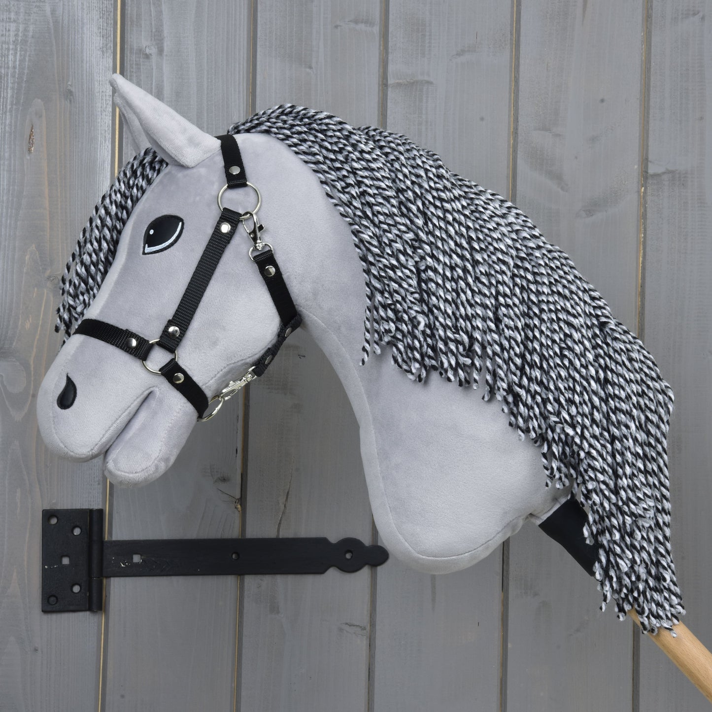 Hobby Horse Caesar with Black Halter