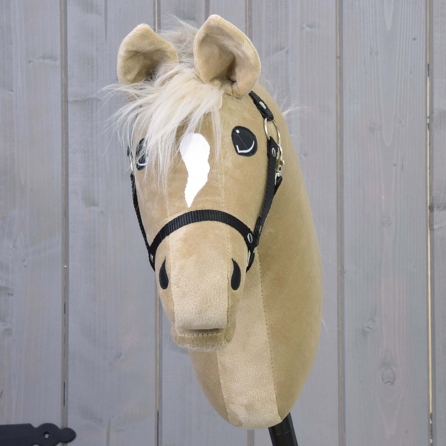 The Hobby Horse LarDen’s Dancing Lady, featuring a black halter and cream mane, stands before a gray wooden wall.
