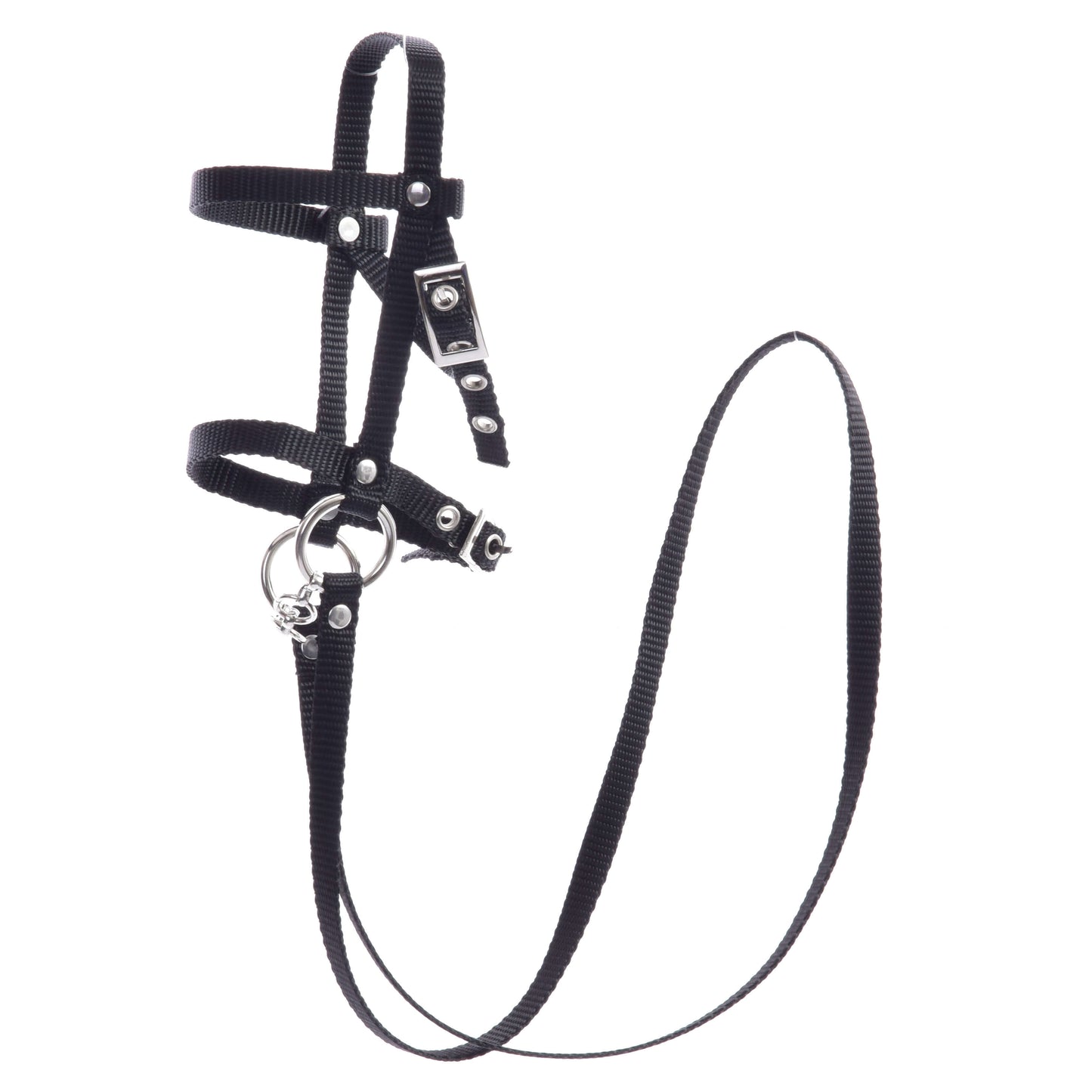 Zwart hoofdstel met teugels van band van Hobby Horse LarDen is ontworpen voor kleine dieren en heeft verstelbare riemen met metalen gespen en ringen. Ideaal als hoofdstel voor Hobby Horse, deze set bevat teugels en is afgebeeld op een witte achtergrond.