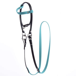 Compleet hoofdstel zonder neusriem turquoise
