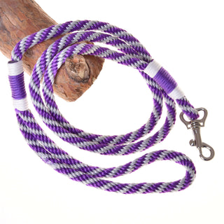 Set Start Purple (halter + cordeo + lead rope + reins)
