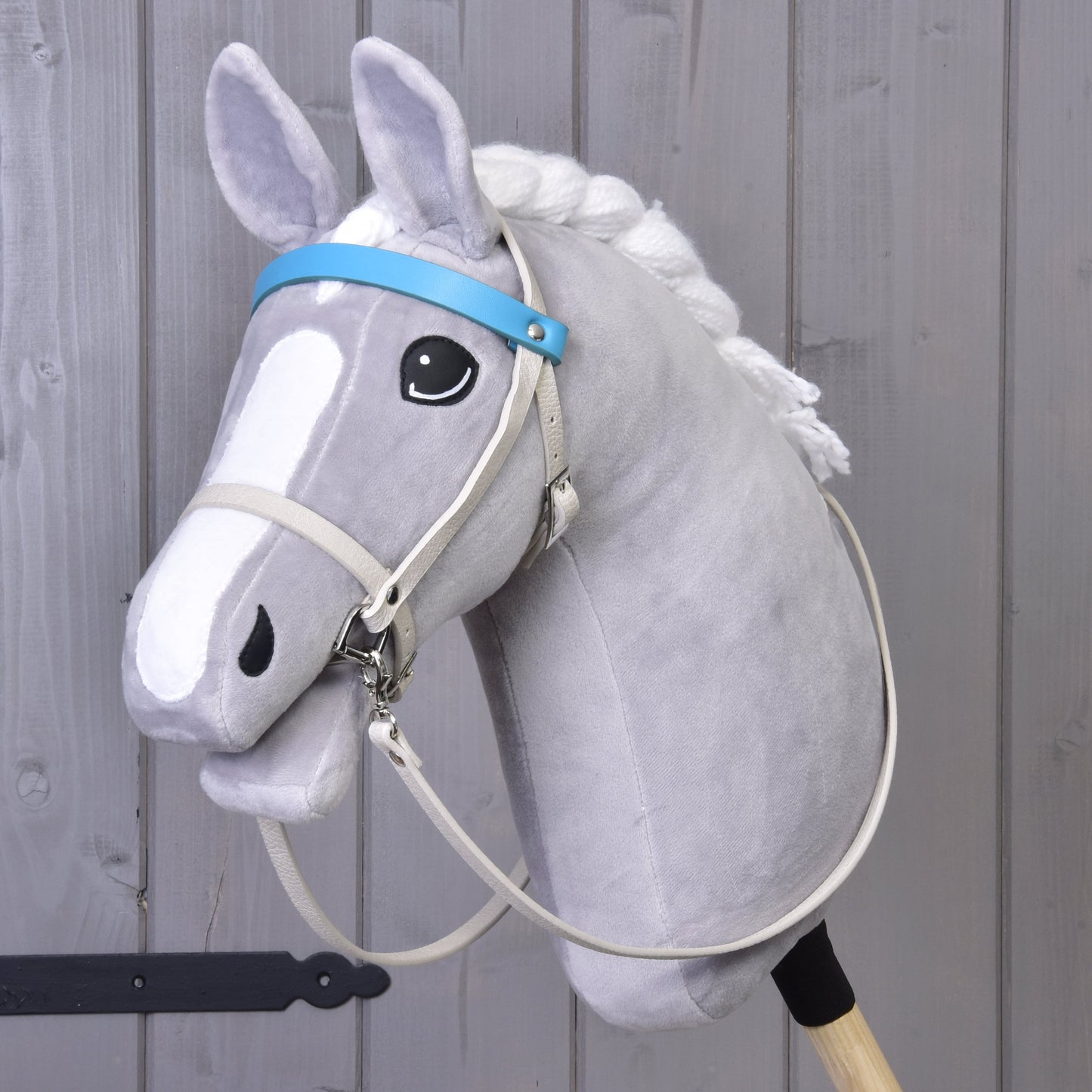 Aqua leatherette set - bridle, reins and martingale
