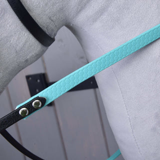Compleet hoofdstel zonder neusriem turquoise