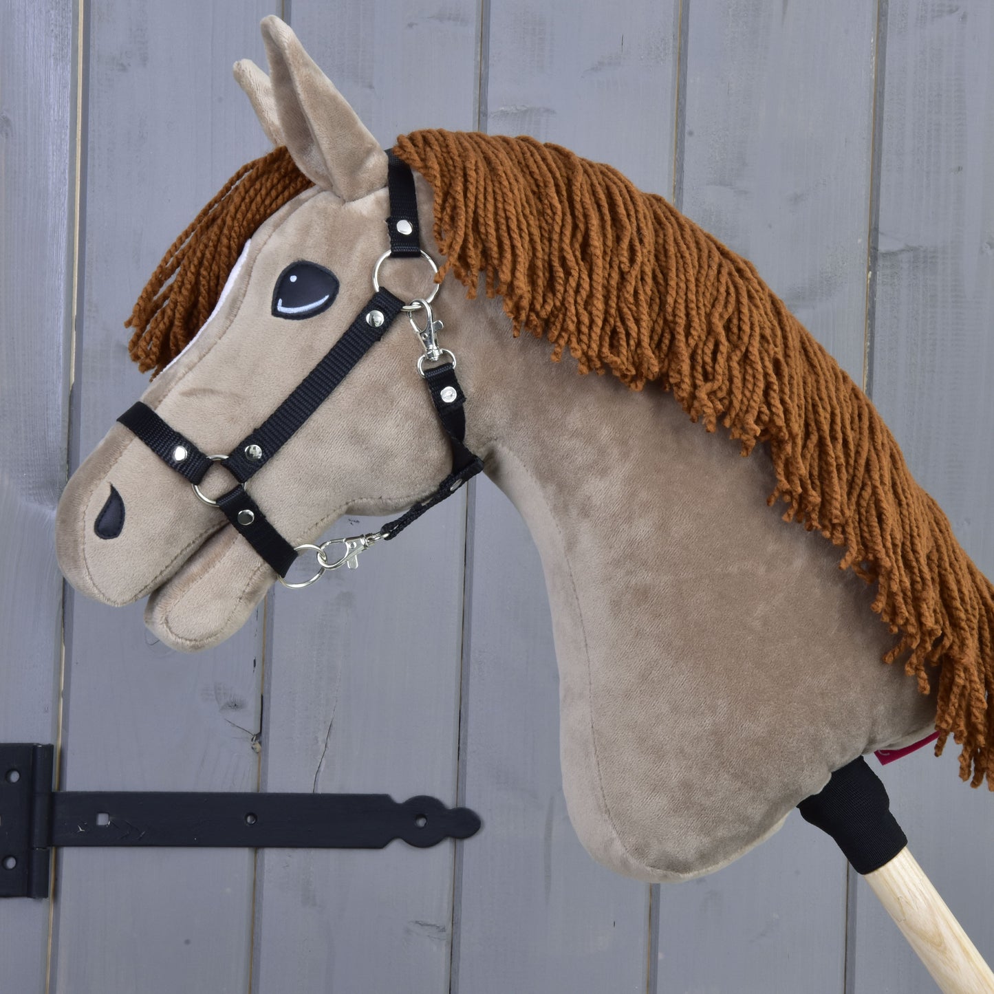 Hobby Horse Oliver with black halter