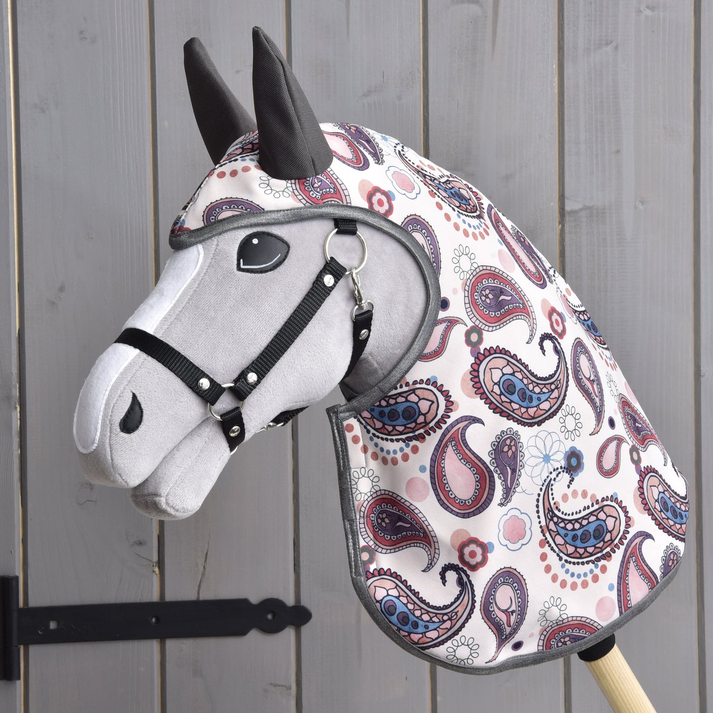 Raincoat Fairy Blue (softshell) 2