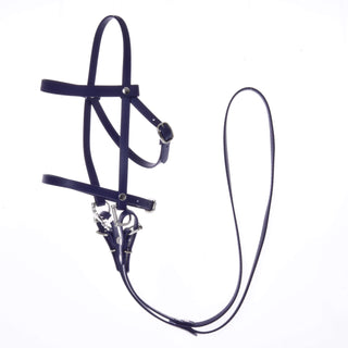 Complete bridle with noseband Dark Purple