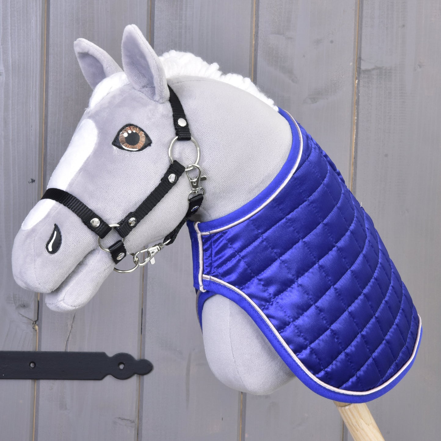 Blanket DeLuxe blue reversible 4