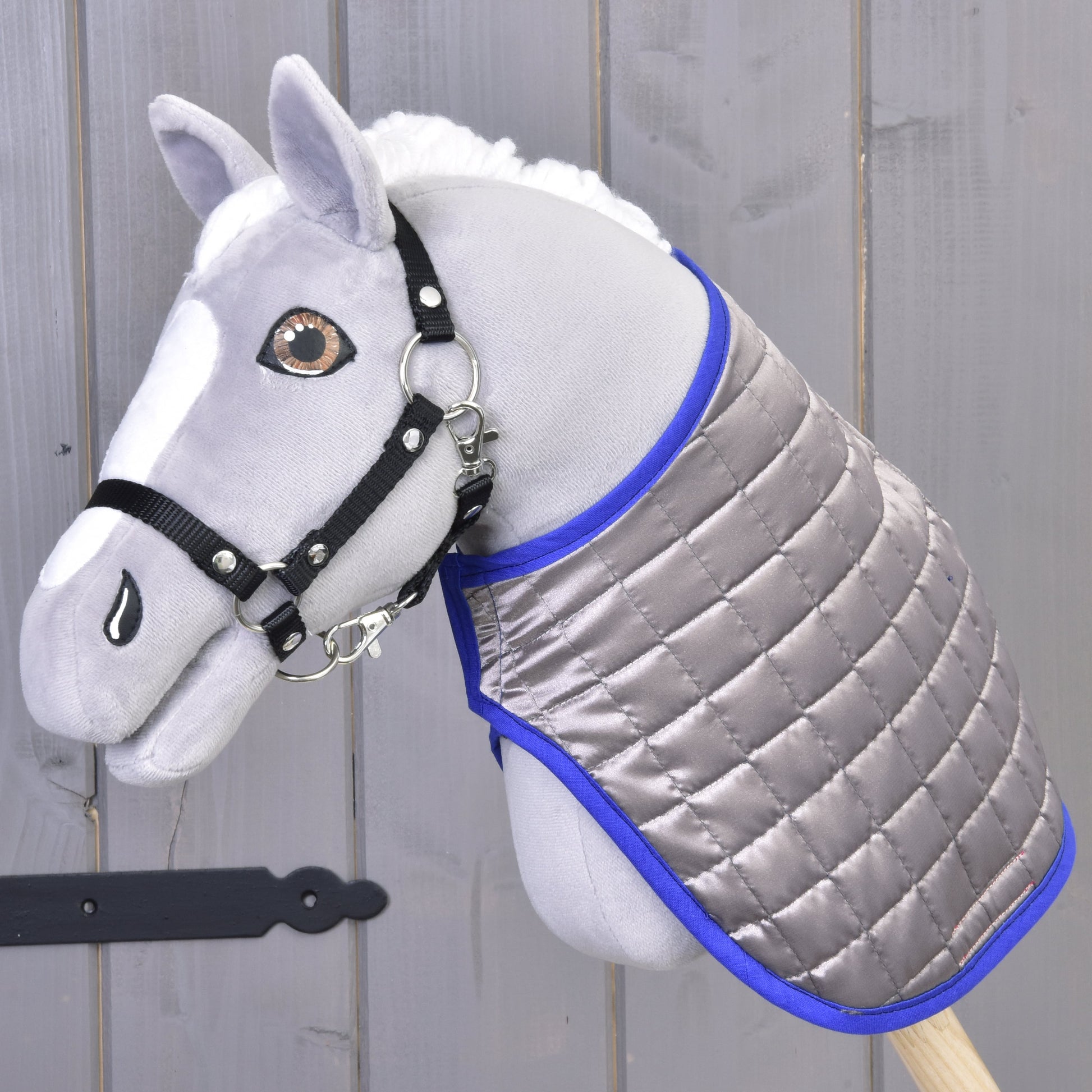 Blanket DeLuxe Blue double-sided