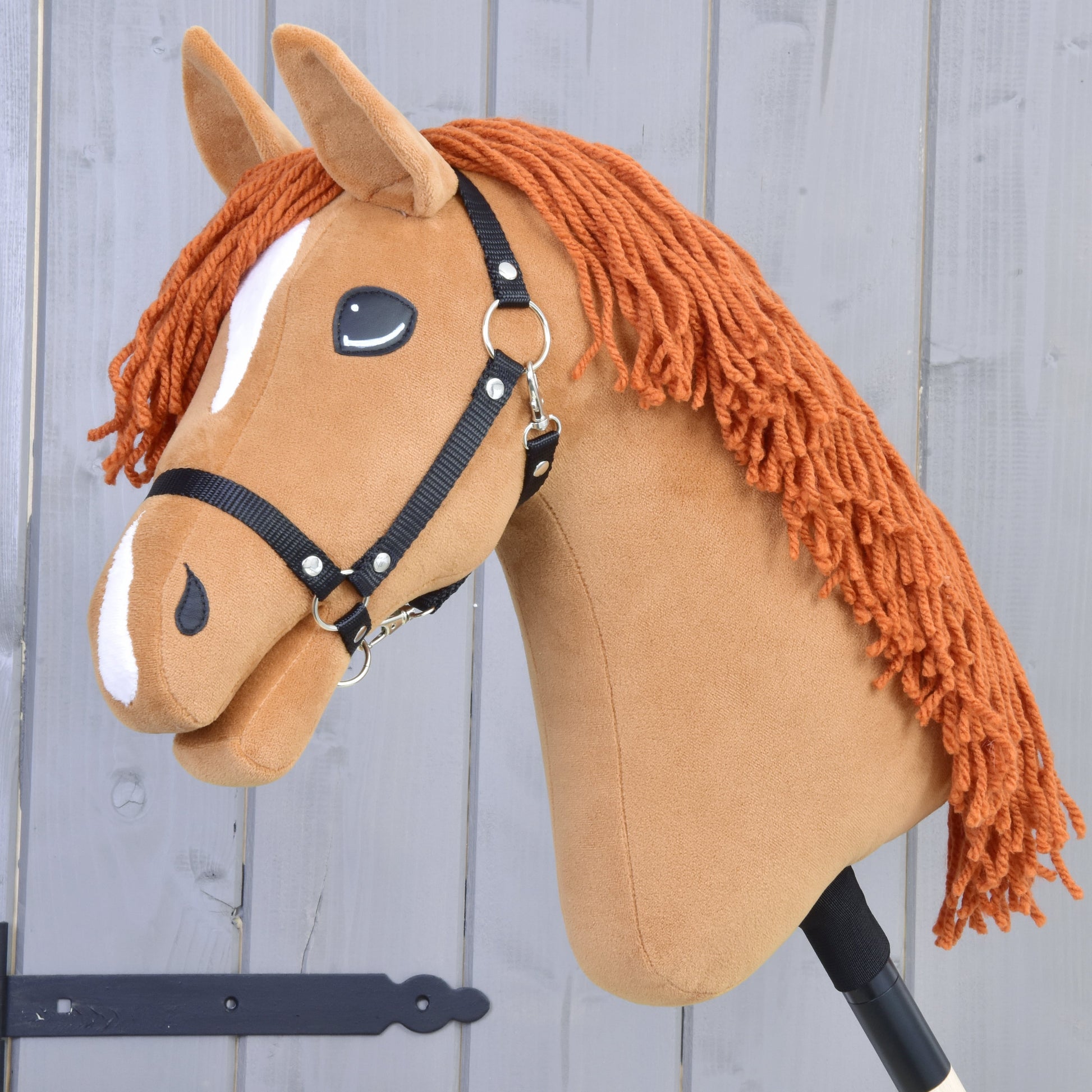 Hobby Horse Kleine Engel met Zwart Halster