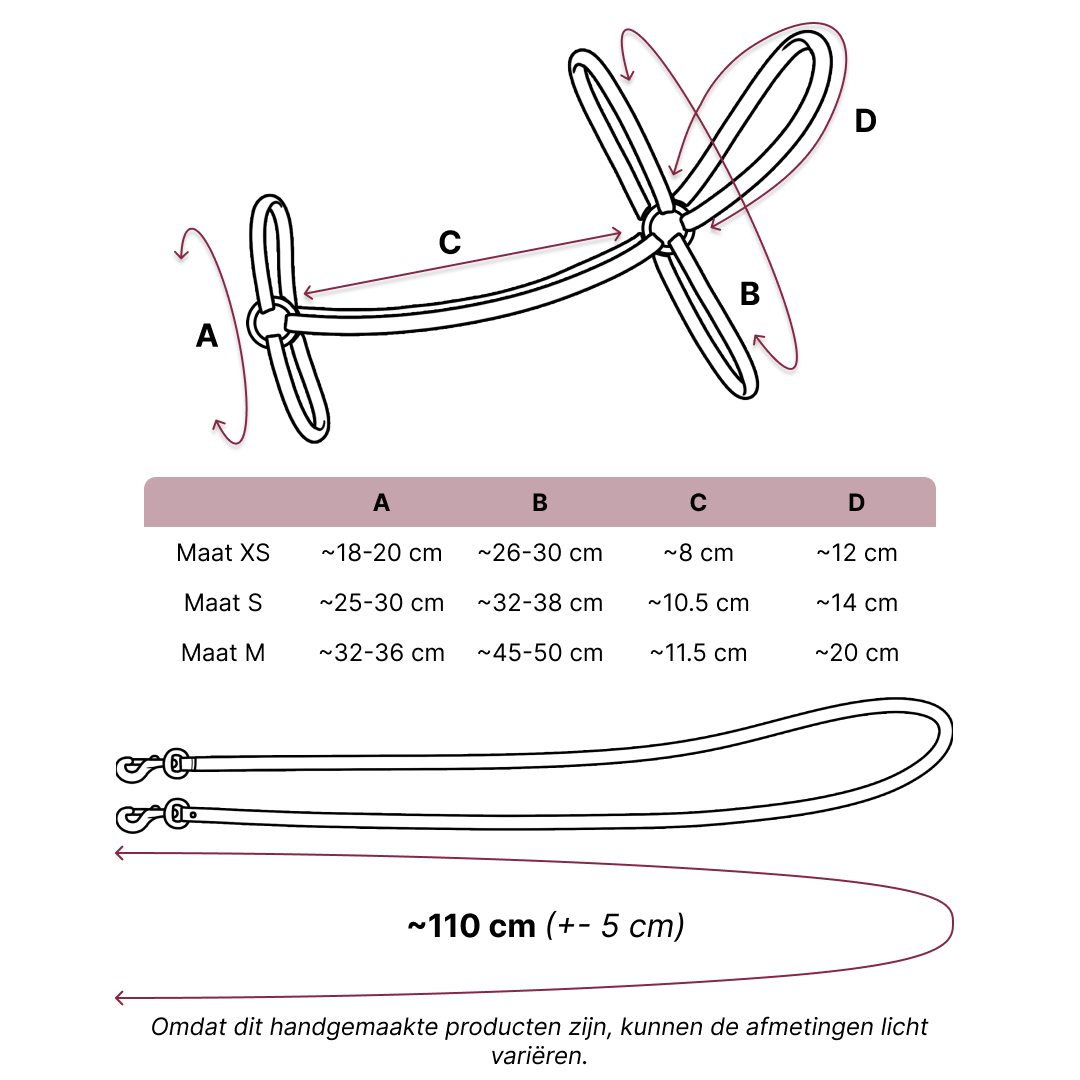 Compleet hoofdstel zonder neusriem turquoise – Perfecte pasvorm