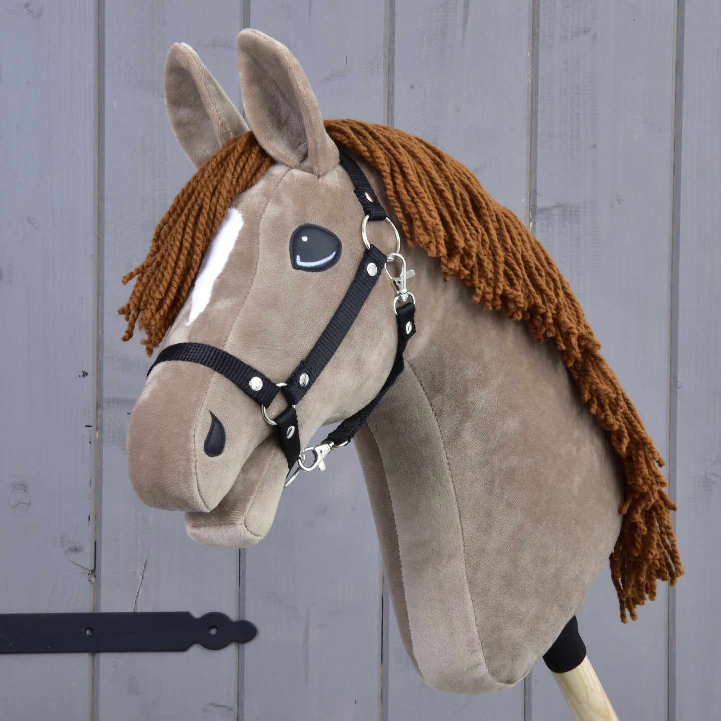 Hobby Horse Oliver with black halter 1