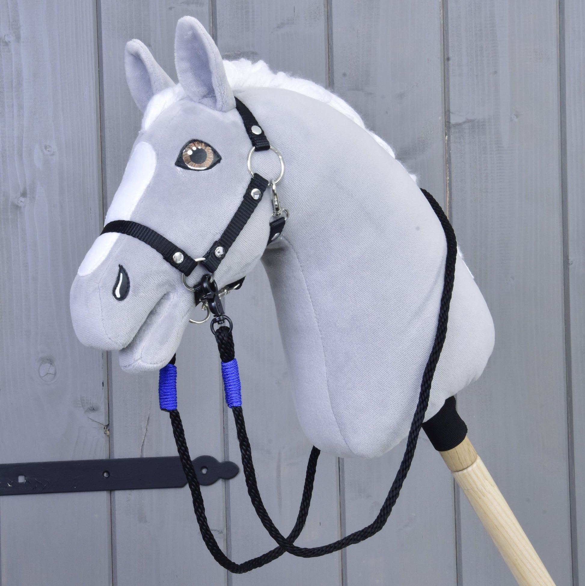 Reins Basic Blue