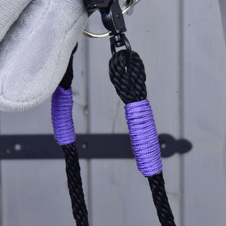 Teugels Basic Lila