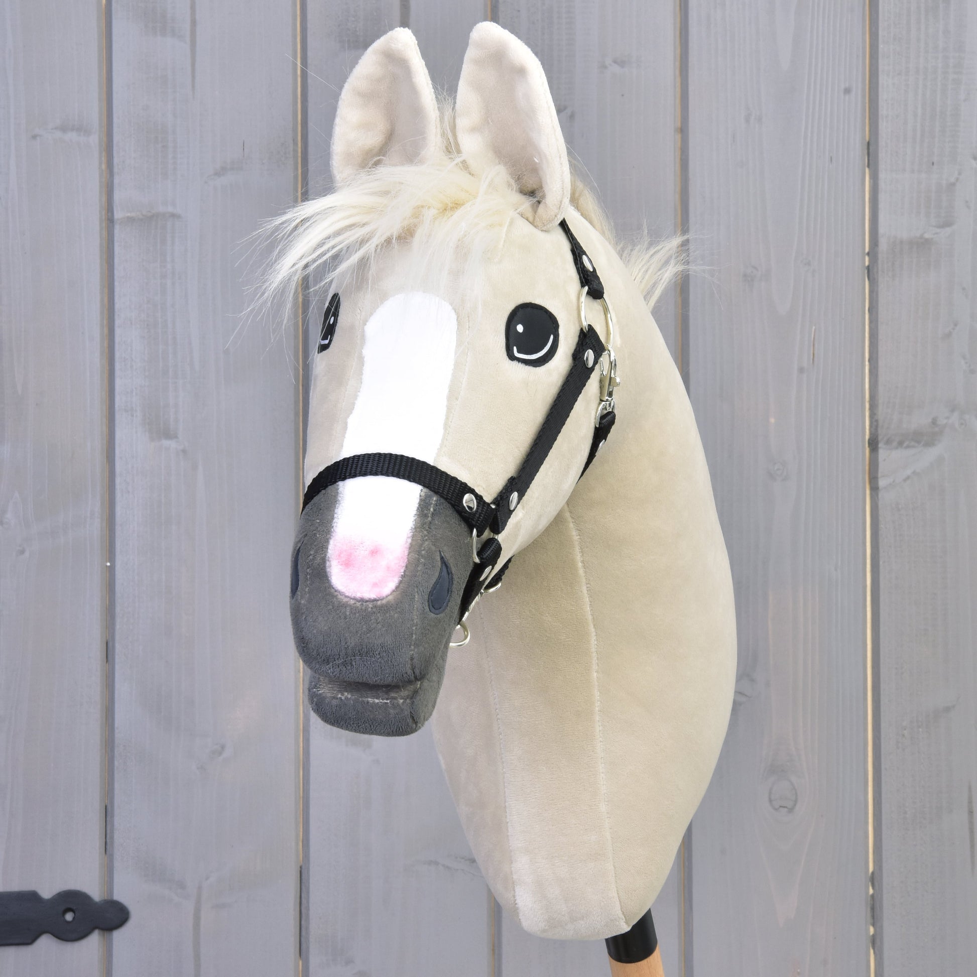 Hobby Horse Pixie with Black Halter