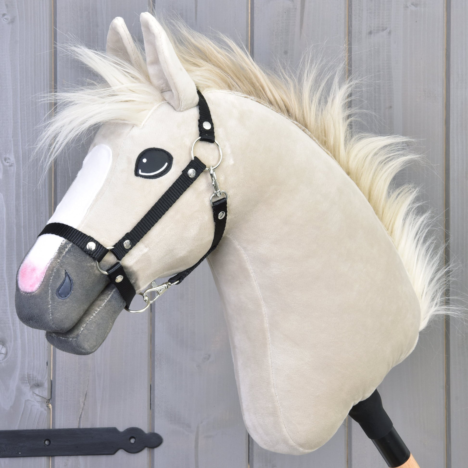 Hobby Horse Pixie with Black Halter