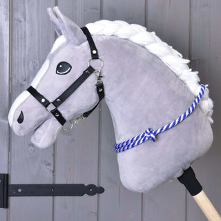Cordeo blue stripe