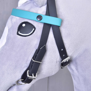 Hoofdstel met 2 hoofdbanden turquoise (maat M)