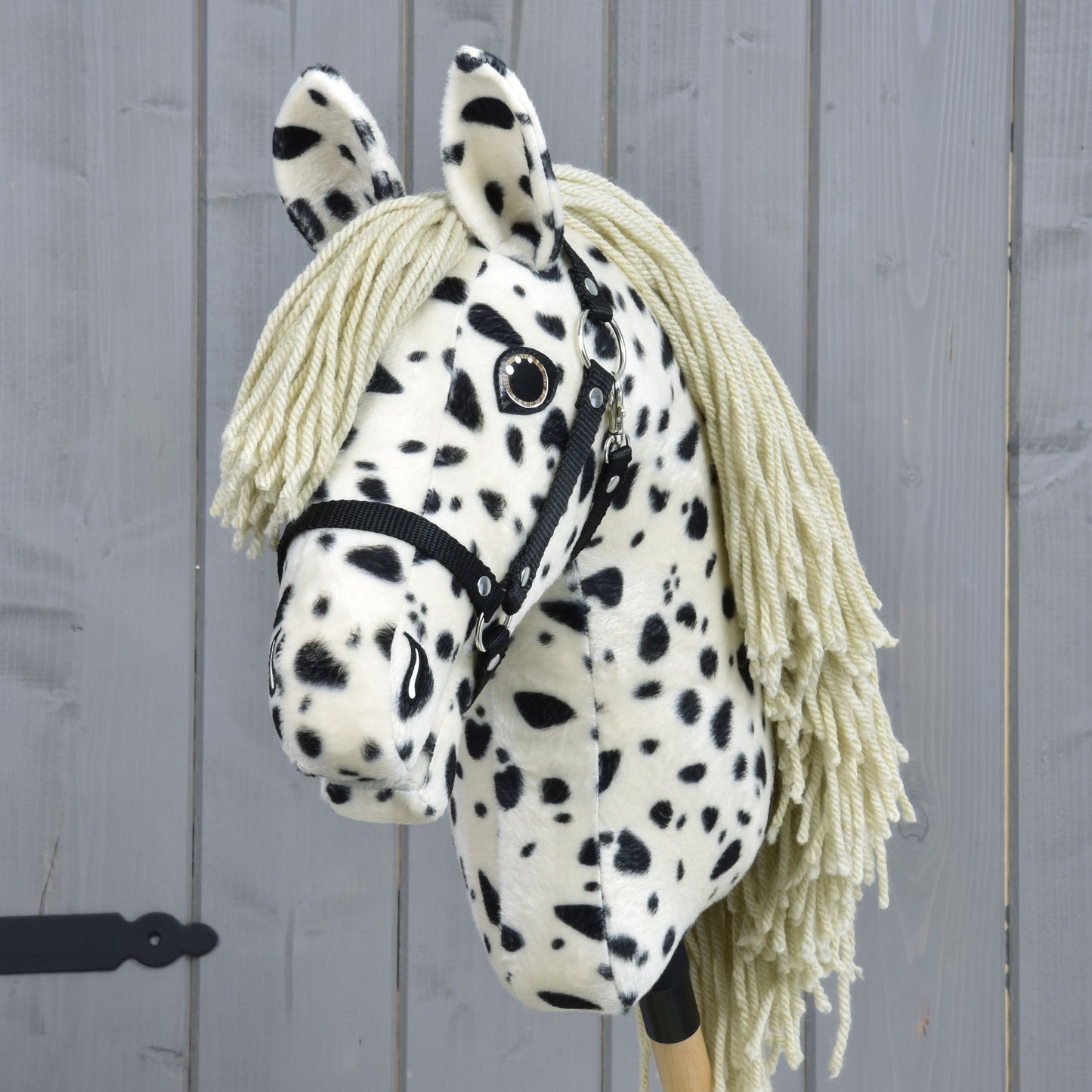 Hobby Horse Lord Valentine met zwart Halster