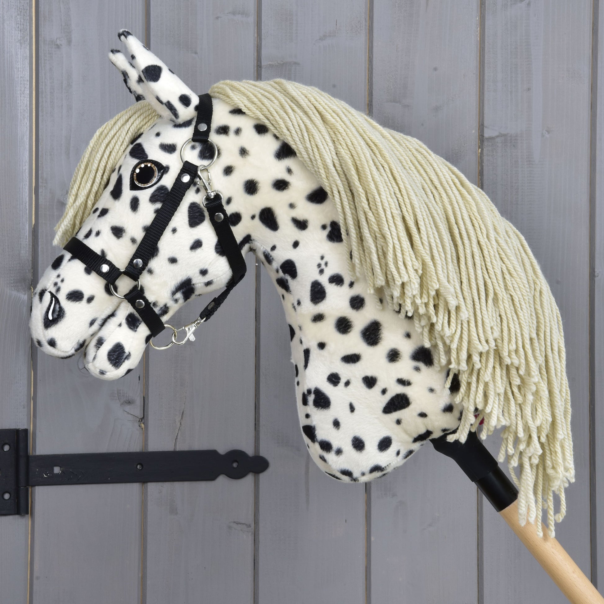 Hobby Horse Lord Valentine met zwart Halster