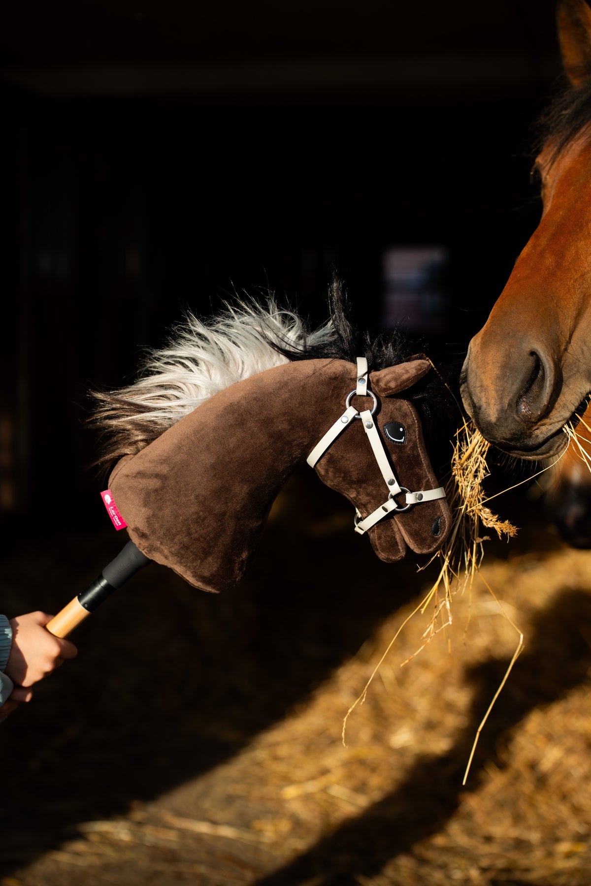 Hobby Horse Alfredo in witte halster neus aan neus met een bruin paard dat hooi kauwt, zonlicht valt op het stro