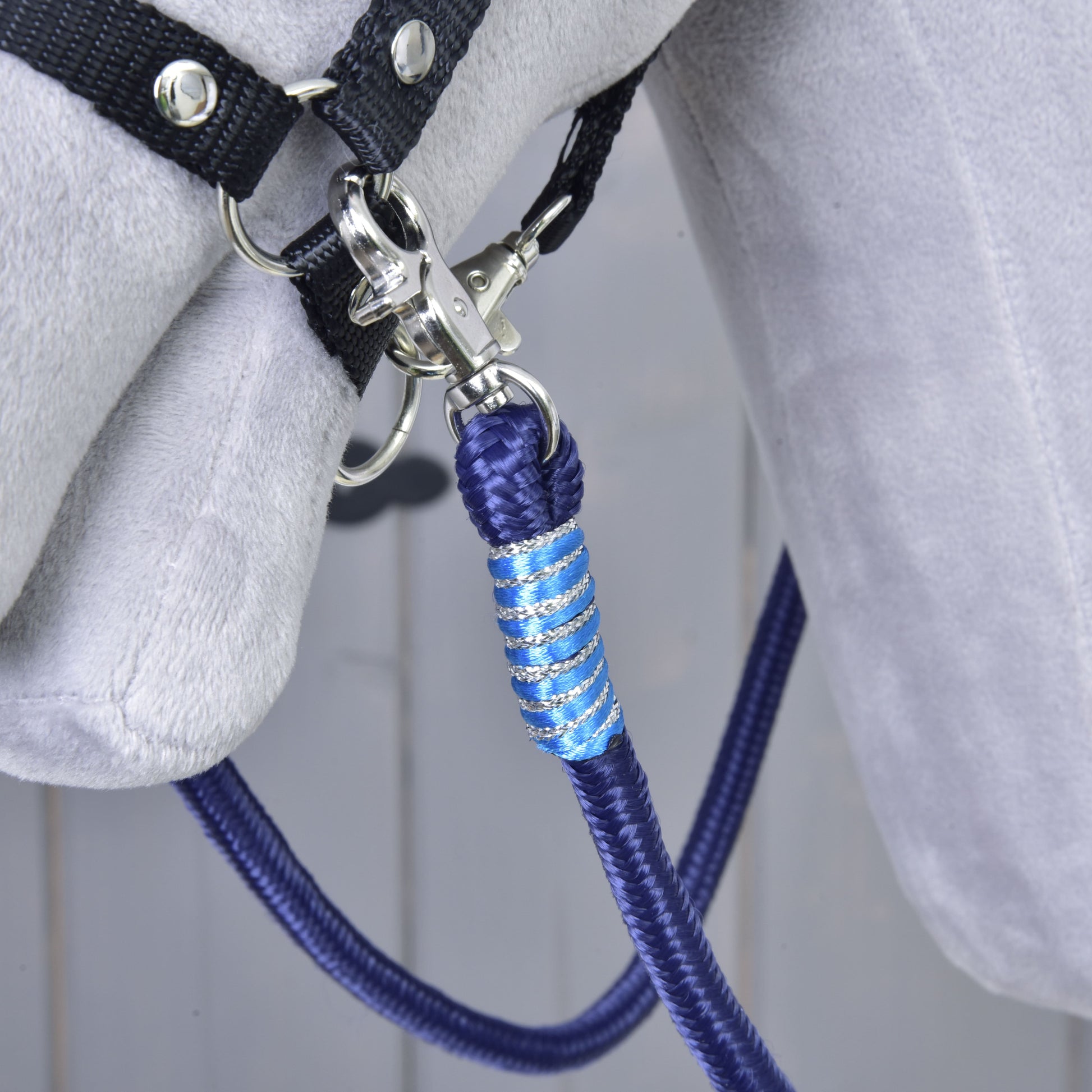 Reins Blues