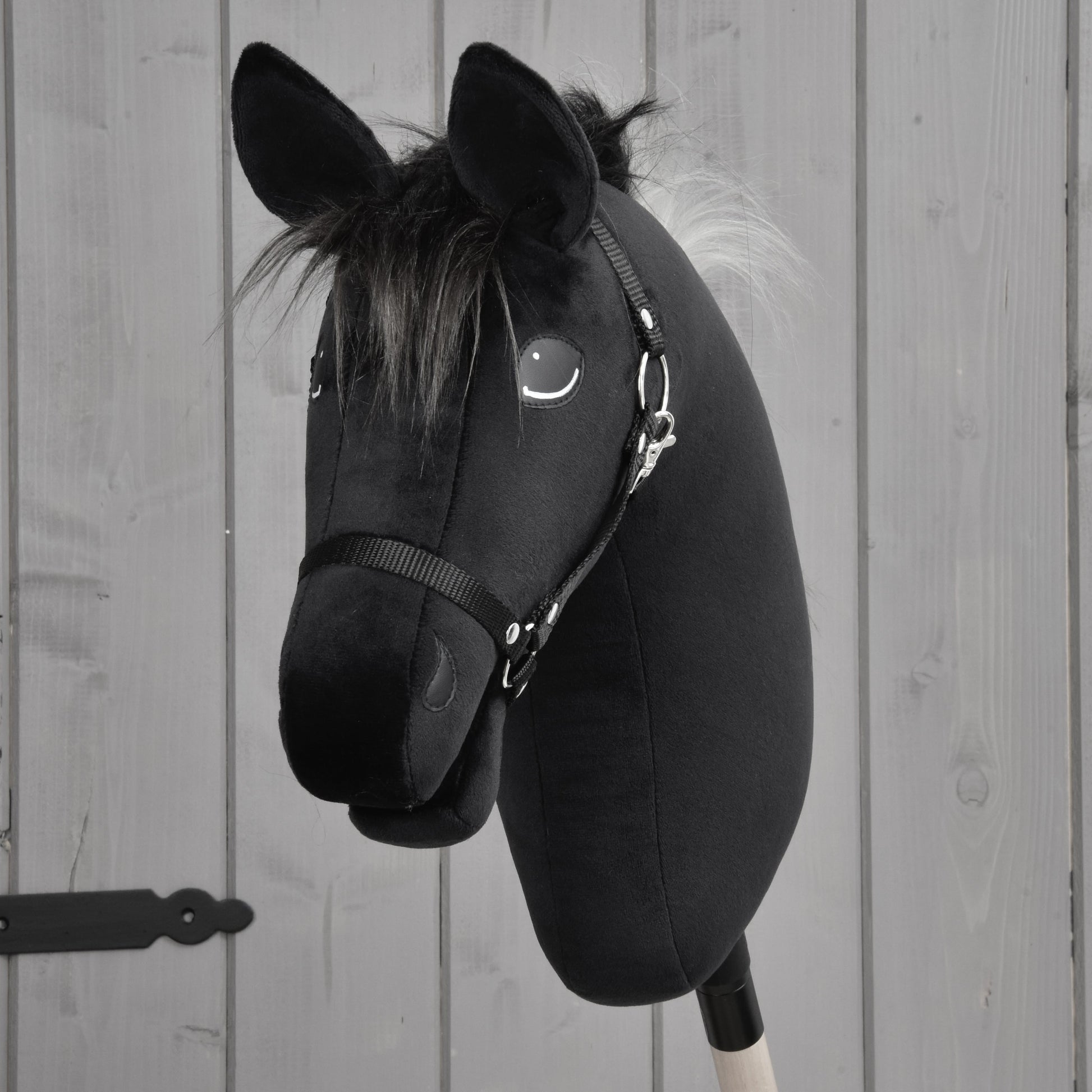 Hobby Horse Bond met zwart Halster