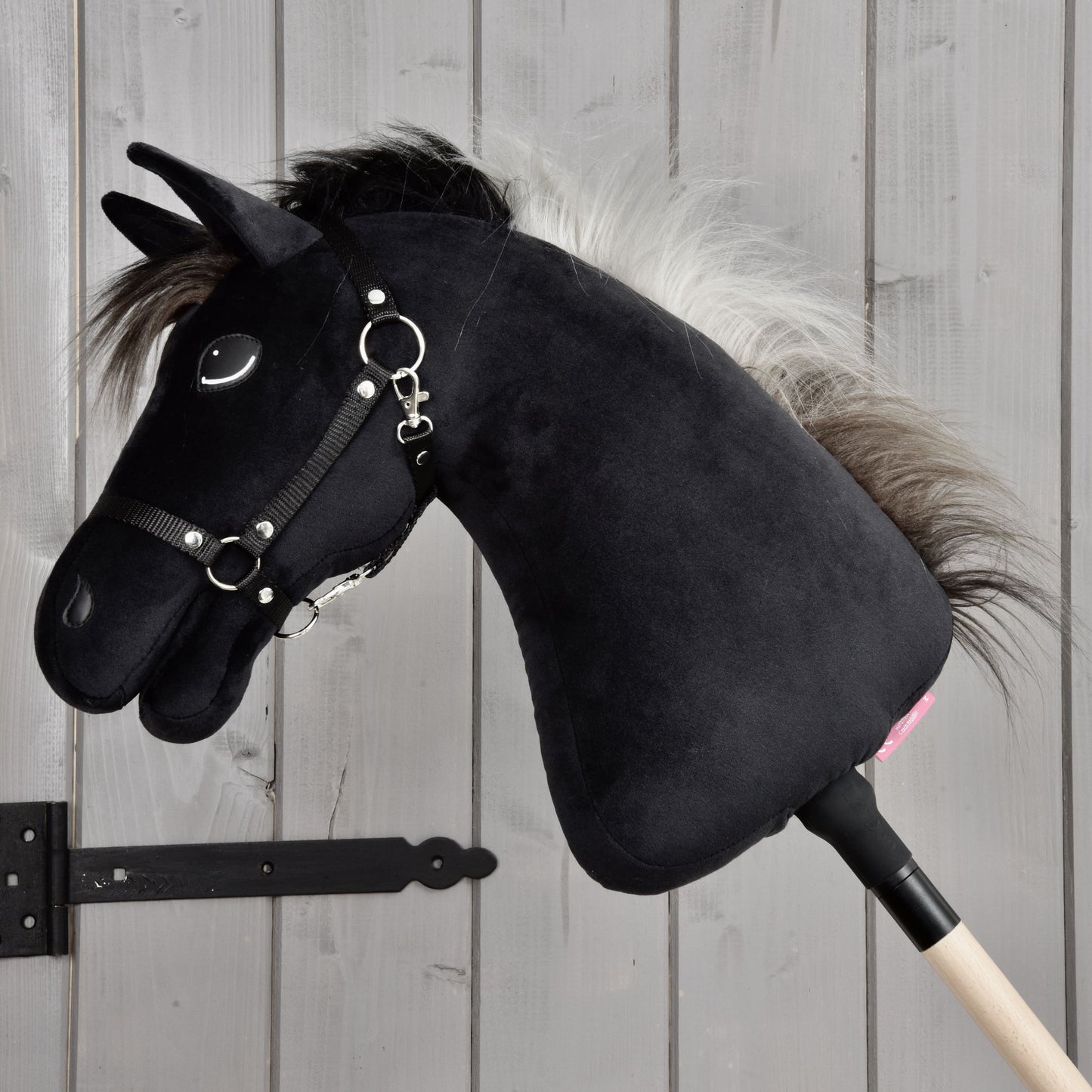 Hobby Horse Bond met zwart Halster