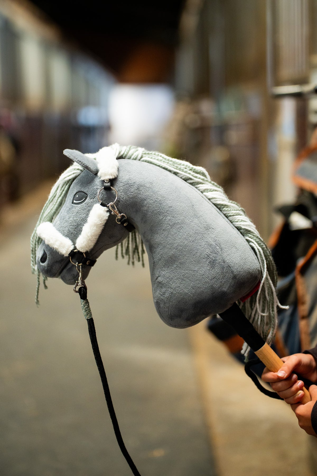 Hobby Horse Calypso van dichtbij in een halster met wit bont aan een zwart halstertouw, wazige stalgang erachter