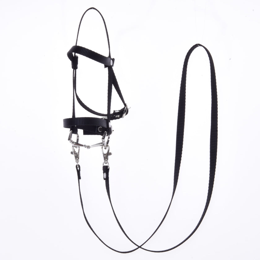 Black bridle with reins from strap II
