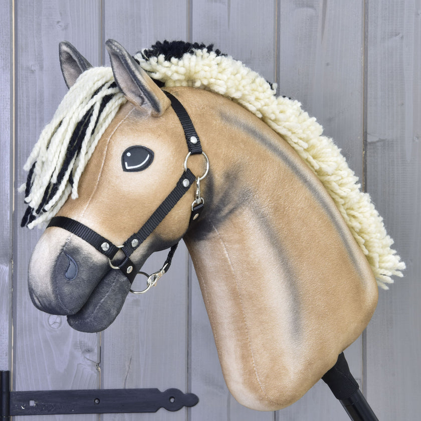 Hobby Horse Colby with black Halter
