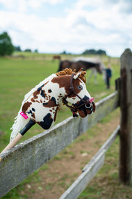 Lifestylefoto: de Hobby Horse Dakota met zwart Halster van Hobby Horse LarDen hangt over een houten paddockomheining, met een grazend paard en een persoon te paard in het veld erachter - bruin-wit bontgekleurde pluchen kop, witte garenmane, blauw oog - hier getoond met het York touwhalster