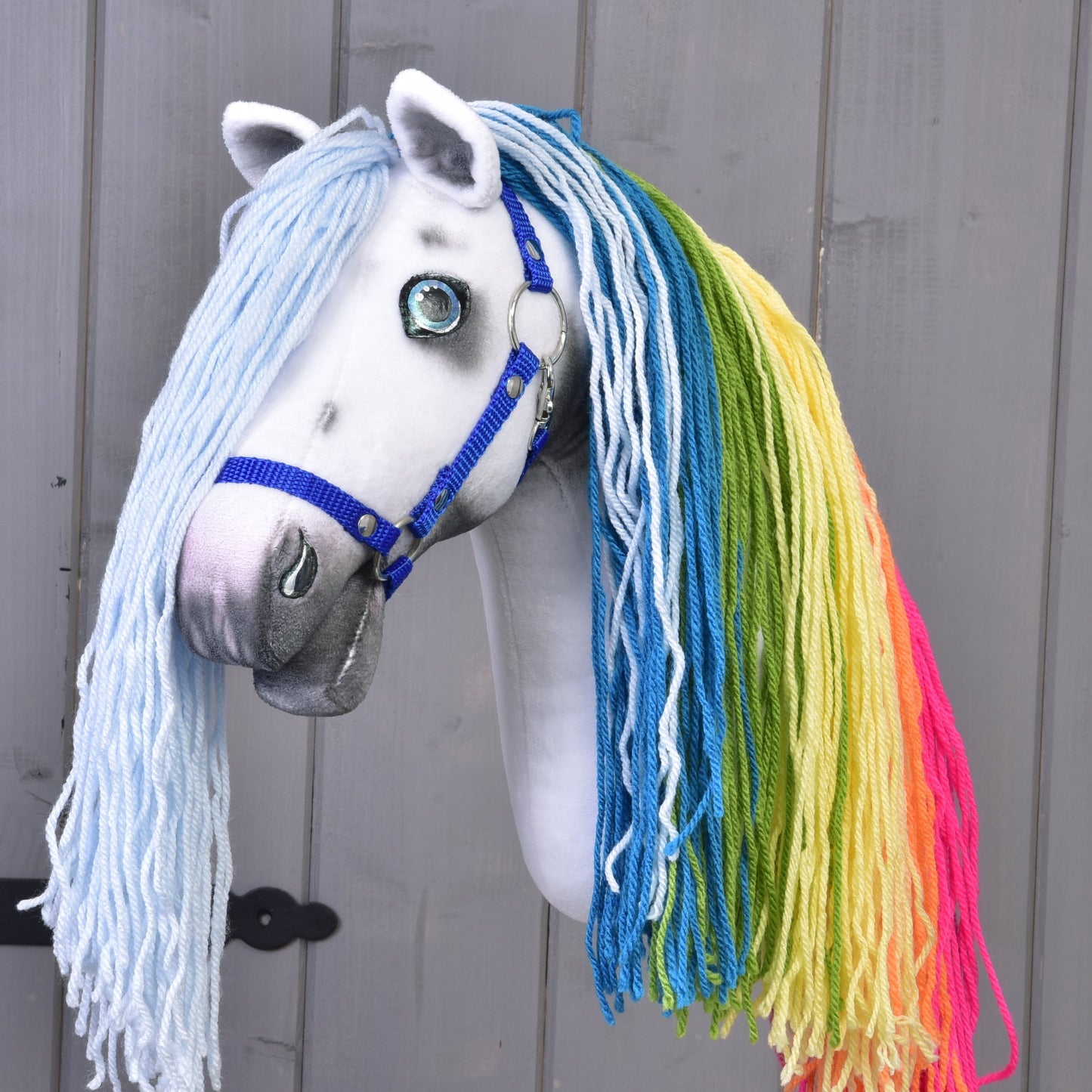 Hobby Horse Rainbow with blue Halter (size S)