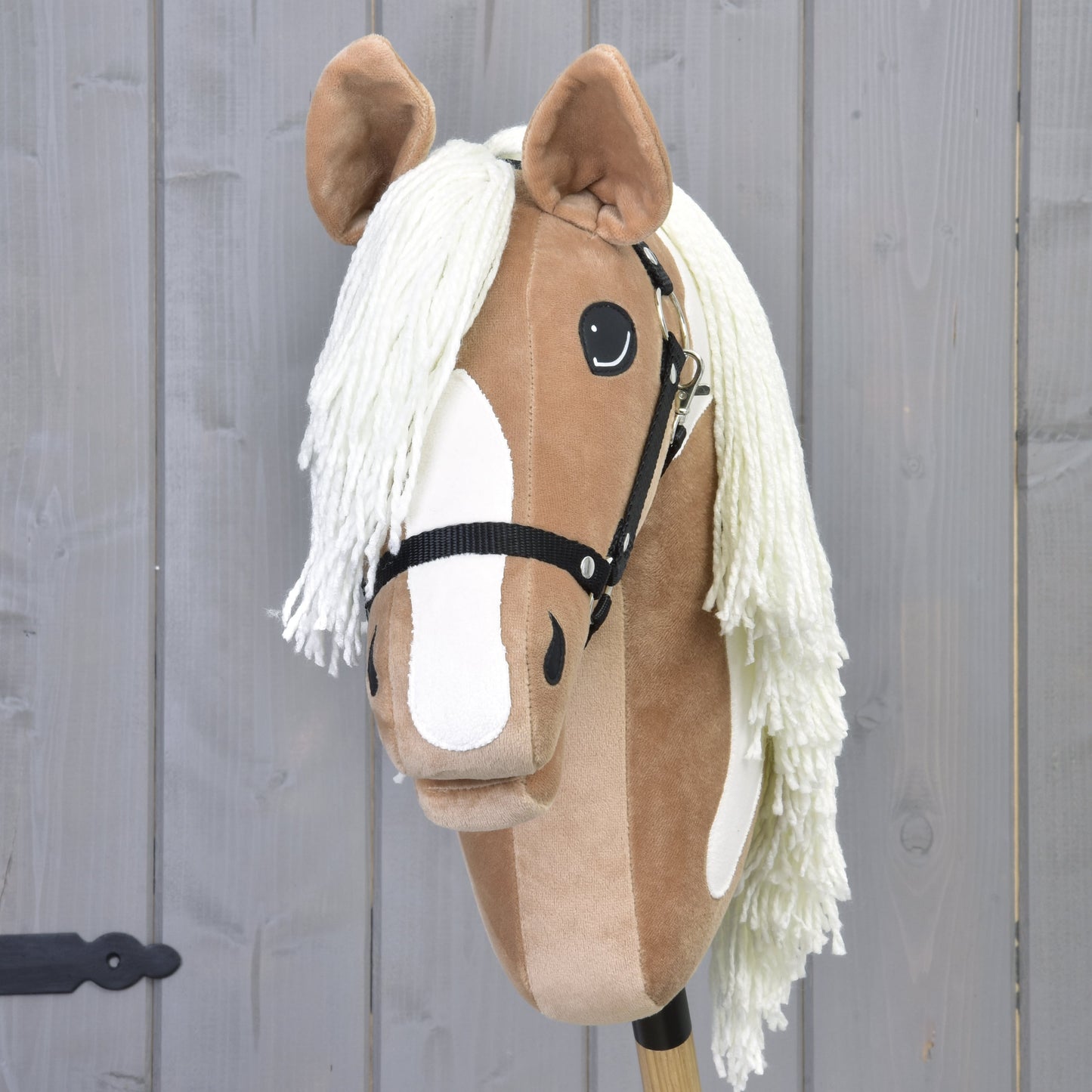 Hobby Horse Fury with Black Halter