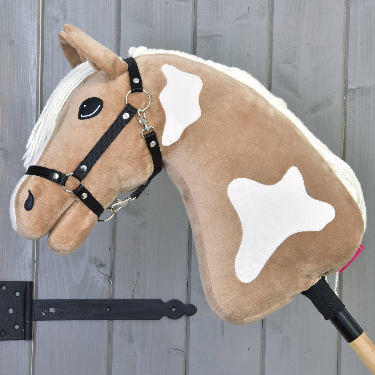 Hobby Horse Fury with Black Halter