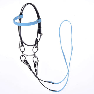 Compleet hoofdstel zonder neusriem Licht Blauw