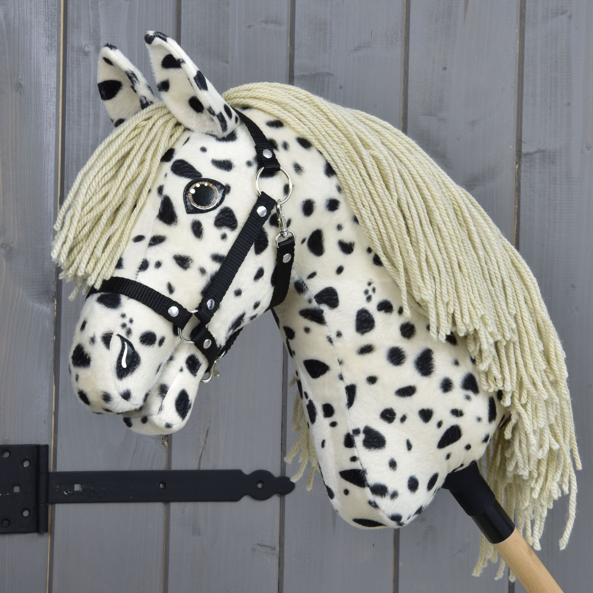 Hobby Horse Lord Valentine met zwart Halster