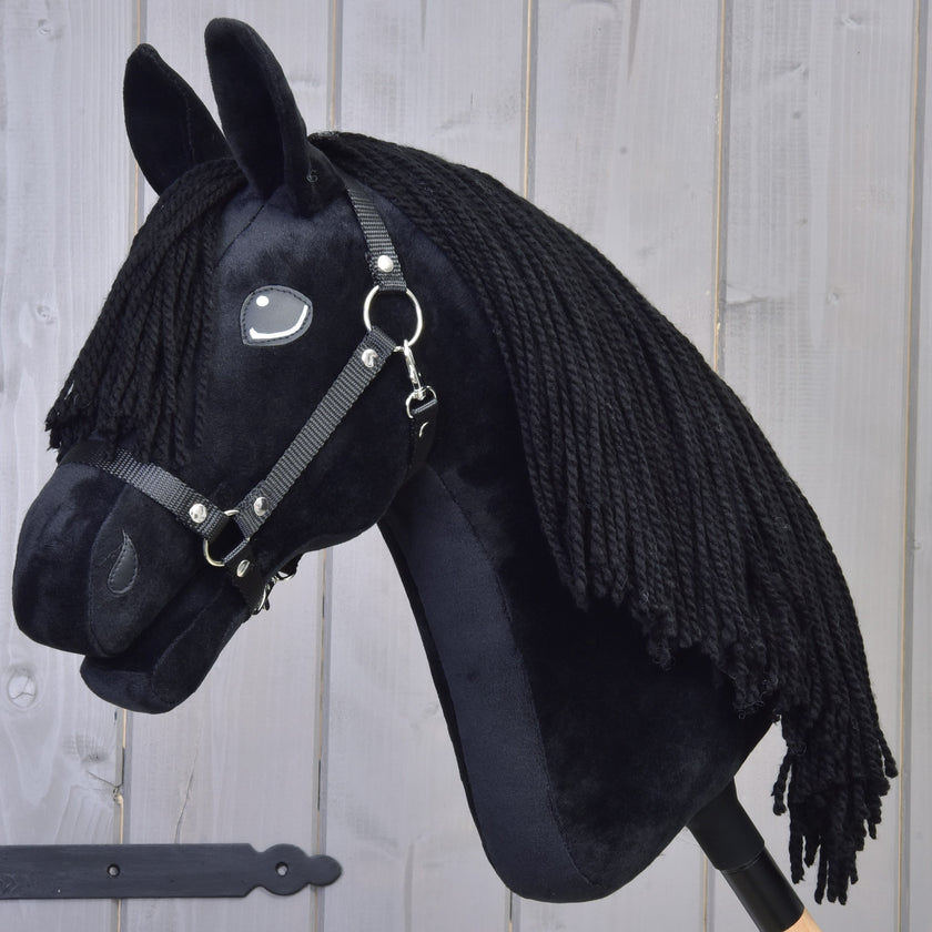 Hobby Horse Mahal met Zwart Halster