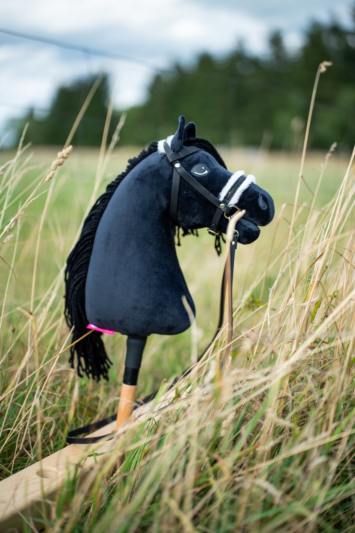 Hobby Horse Mahal met zwart halster in hoog weidegras, hier met zwart hoofdstel met neusriem van wit bont