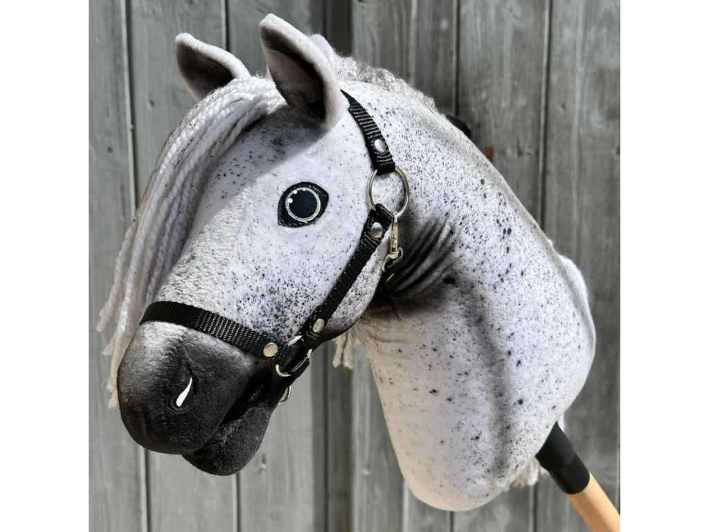 Hobby Horse Naivy with Black Halter