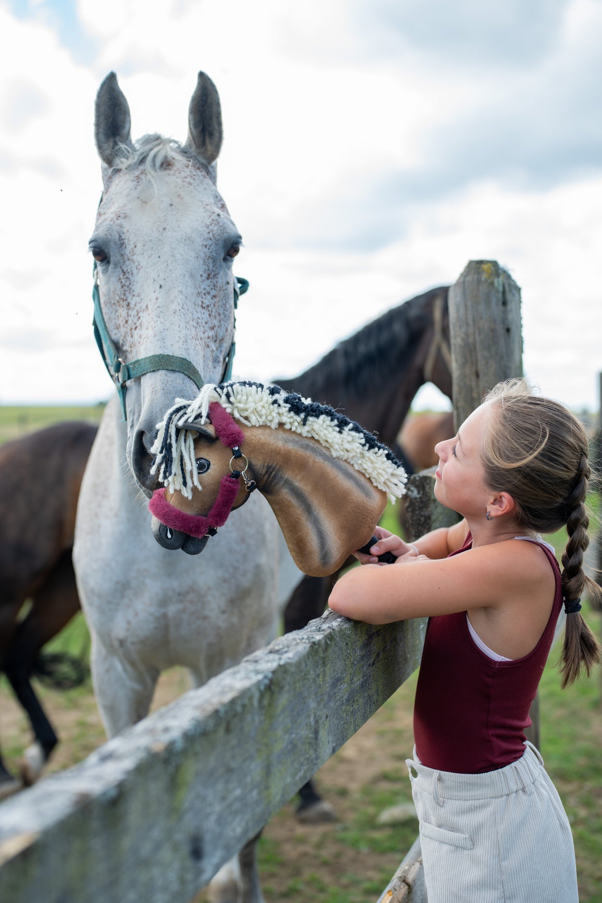 Meisje in bordeauxrood topje bij het weidehek houdt Hobby Horse Ozzy omhoog naar een grijs paard, bruine paarden erachter