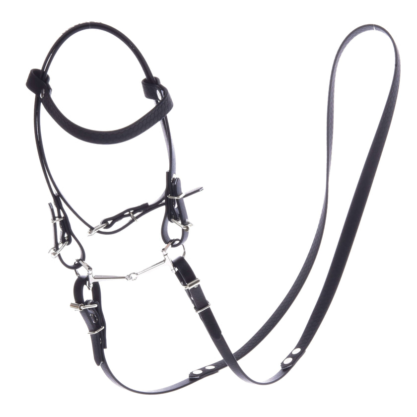 Complete bridle without noseband Pure Black