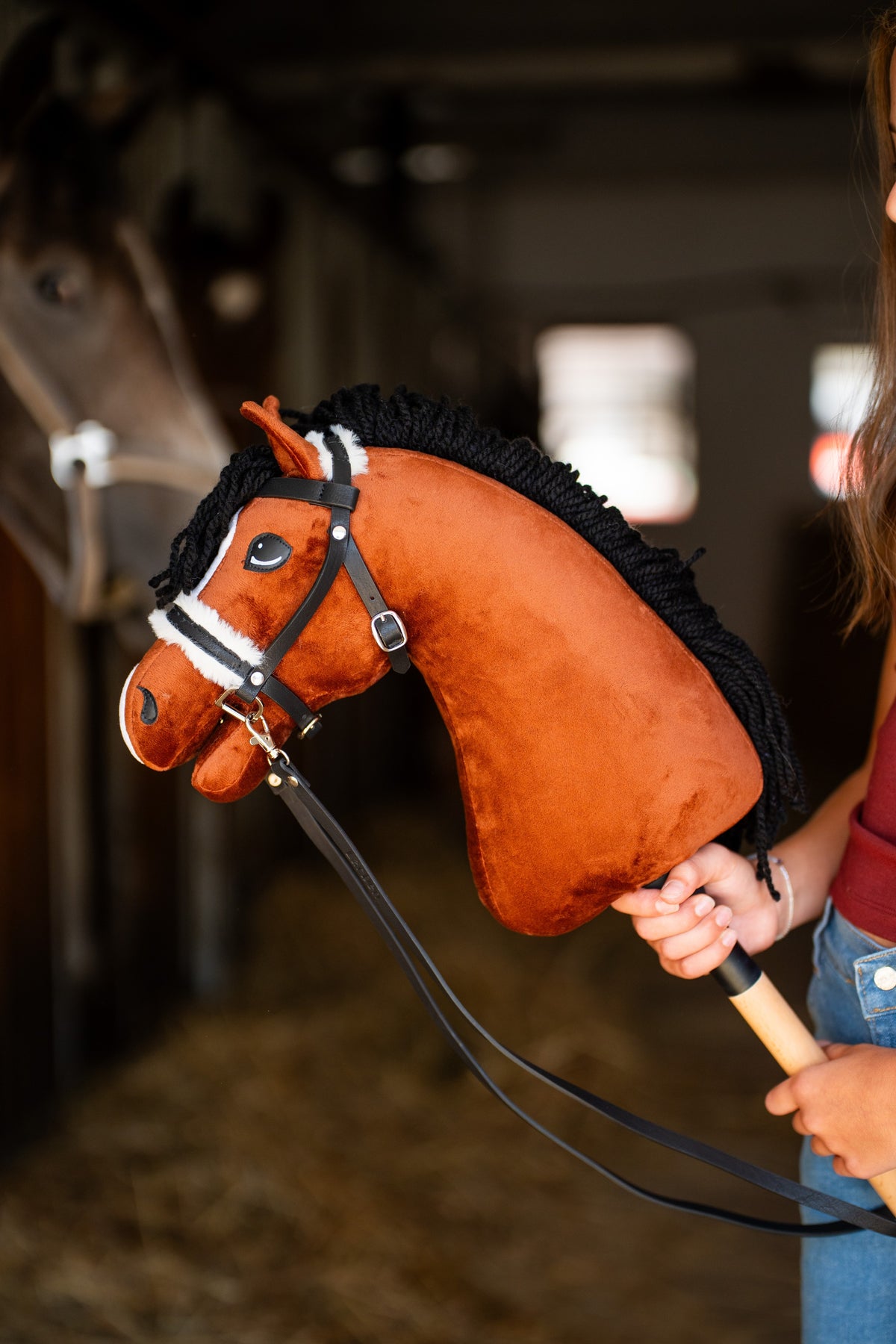 Chestnut Hobby Horse Rocky with a curly black yarn mane in the black bridle with white fur and long reins, a bay horse behind